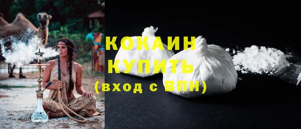 сатива Гусь-Хрустальный
