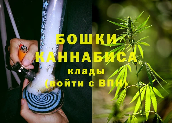 2c-b Гусиноозёрск