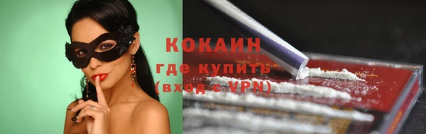 сатива Гусь-Хрустальный