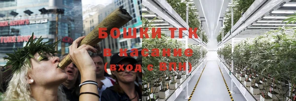 соль ск Заводоуковск
