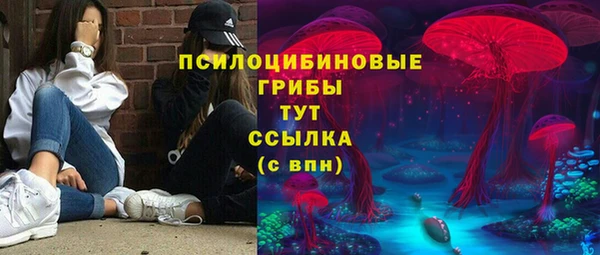 2c-b Гусиноозёрск