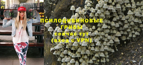 сатива Гусь-Хрустальный