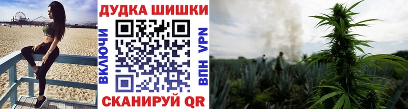 МАРИХУАНА AK-47  где купить наркоту  Котлас 